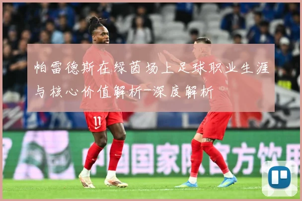 帕雷德斯在绿茵场上足球职业生涯与核心价值解析-深度解析