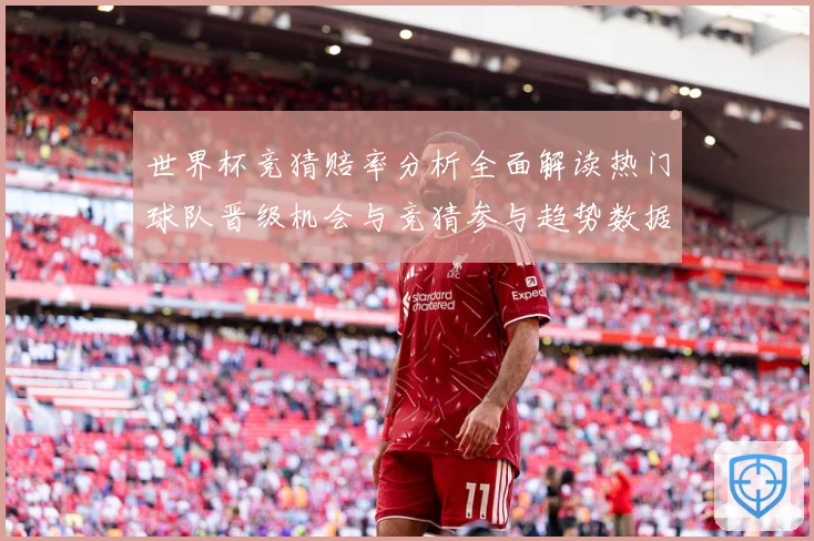 世界杯竞猜赔率分析全面解读热门球队晋级机会与竞猜参与趋势数据研判-深度解析