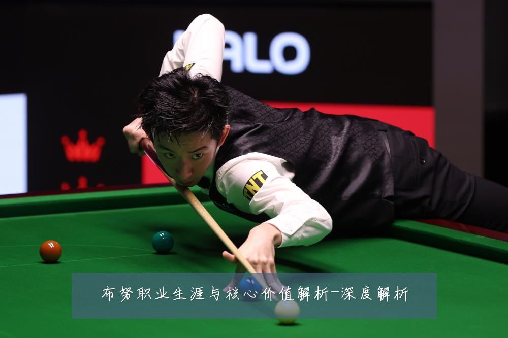 布努职业生涯与核心价值解析-深度解析